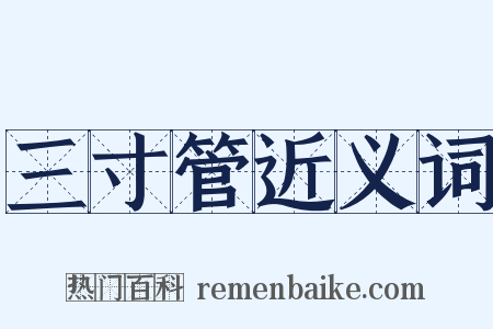 三寸管近义词是什么意思的图片
